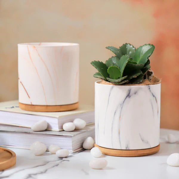 Elevate Your Home with Marbique: Timeless Luxury in Marble Décor